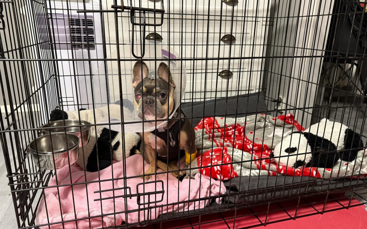 Pomohli jste Lili