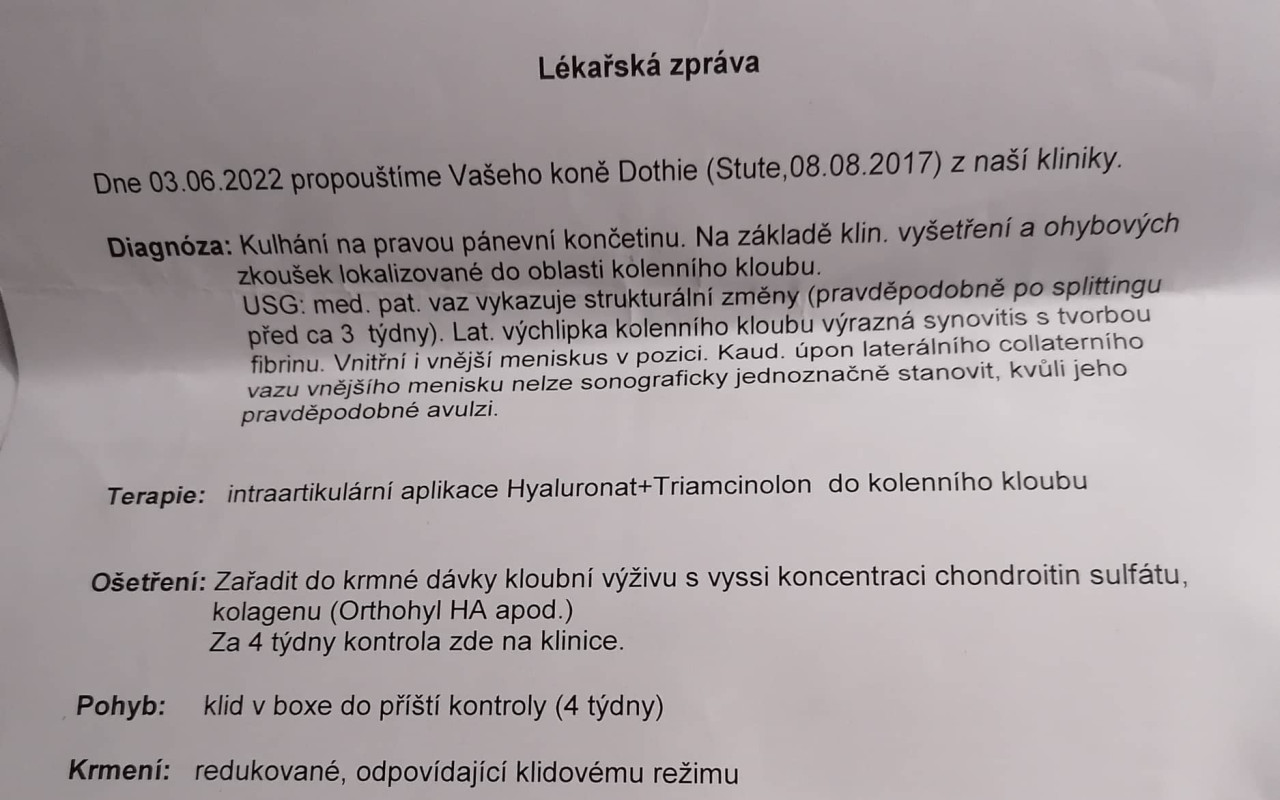 Přispěli jste klisně Dotie k lepšímu životu
