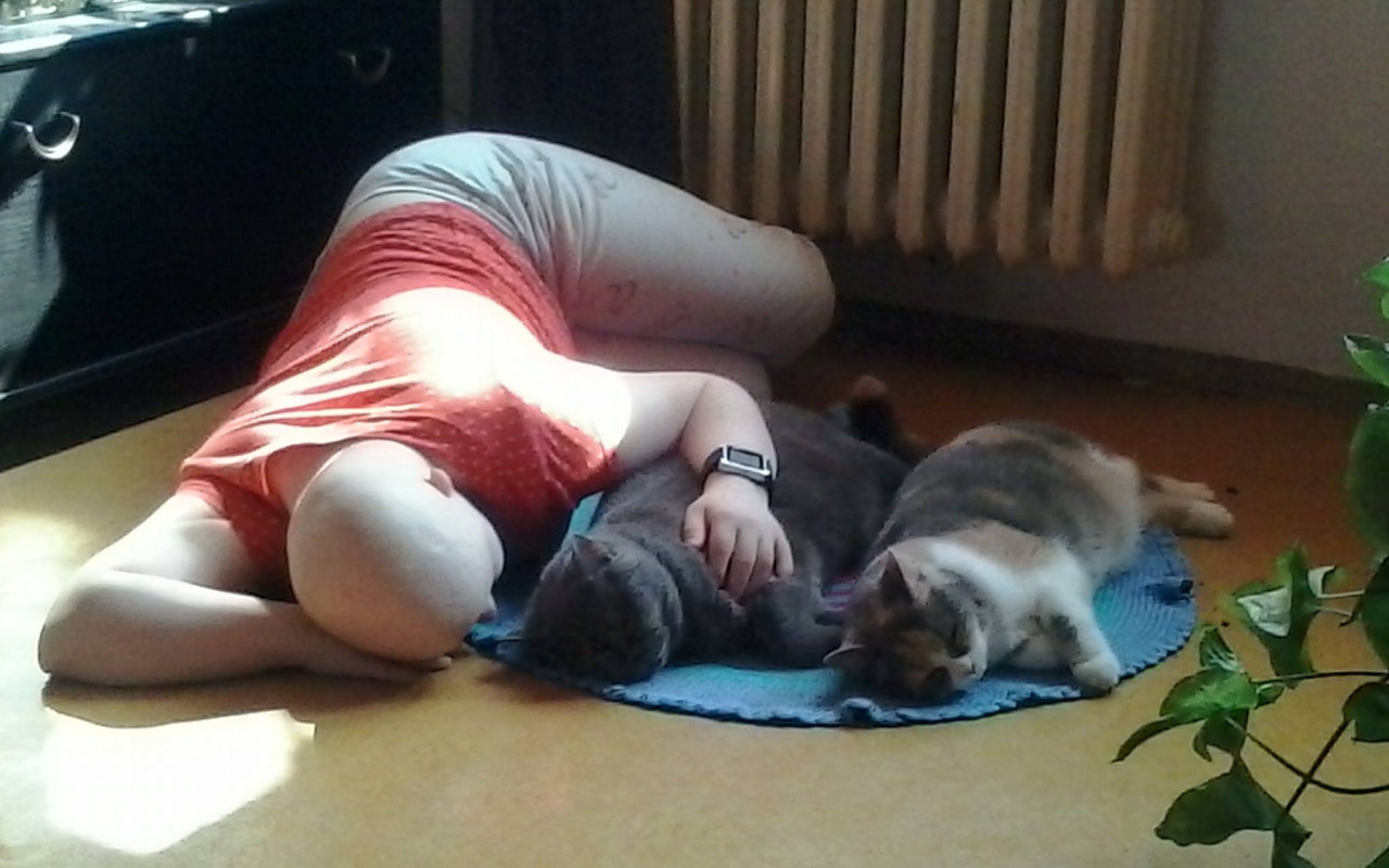 Větší a pohodlnější auto pro Zuzku