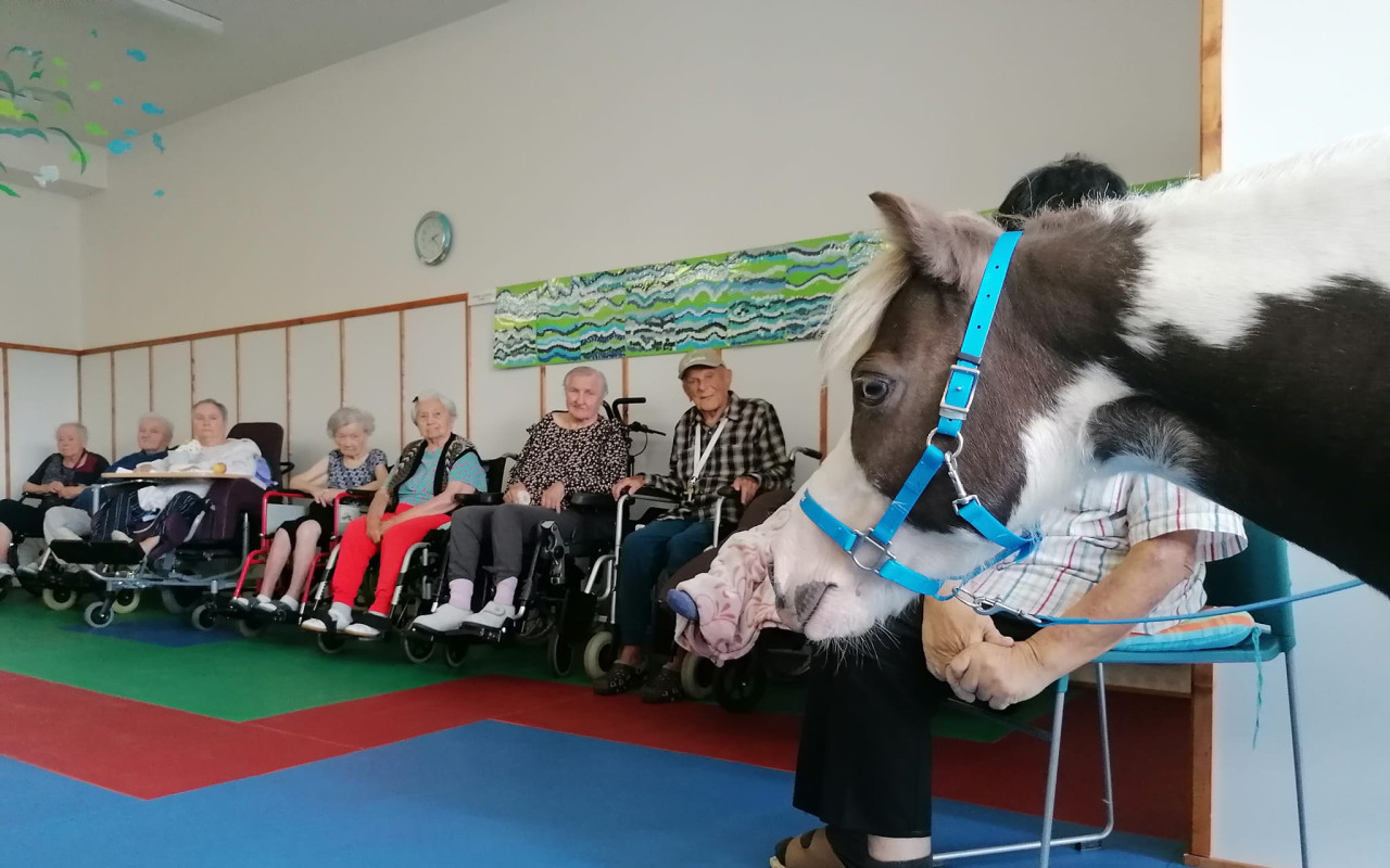 Casperovi, pony terapeutovi, na nový výběh