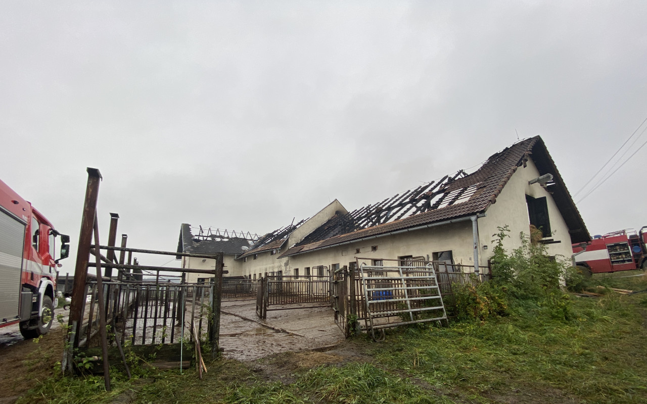 Přispěli jste na výstavbu nové stáje pro dobytek po požáru