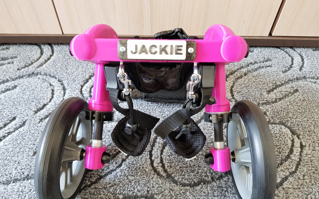 Dali jste šanci Jackince