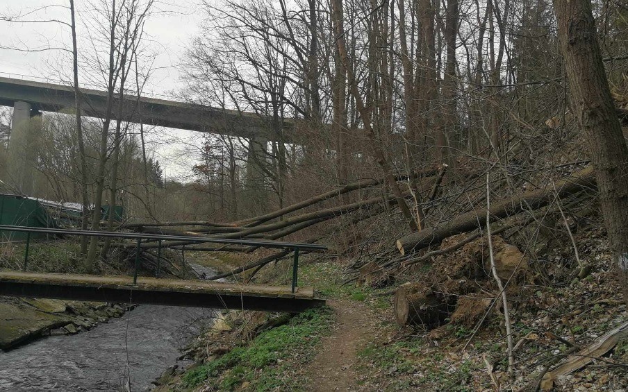 Pomohli jste přispět na opravu poničeného areálu psího útulku