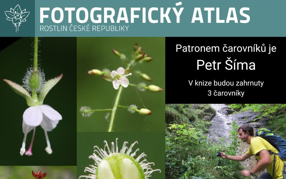 Fotografie všech českých rostlin v jedné KNIZE? Pojďme to dotáhnout!