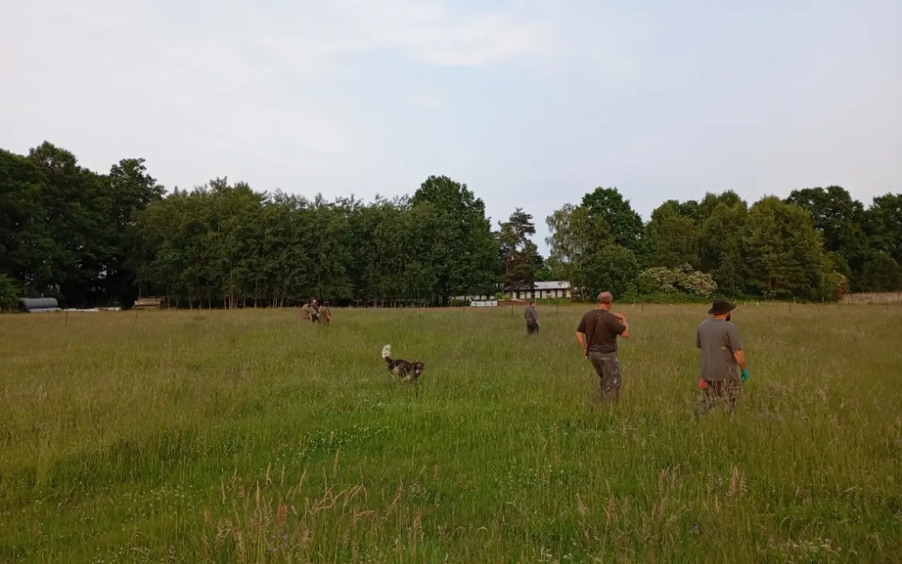 Záchrana srnčat a drobné zvěře dronem s termokamerou