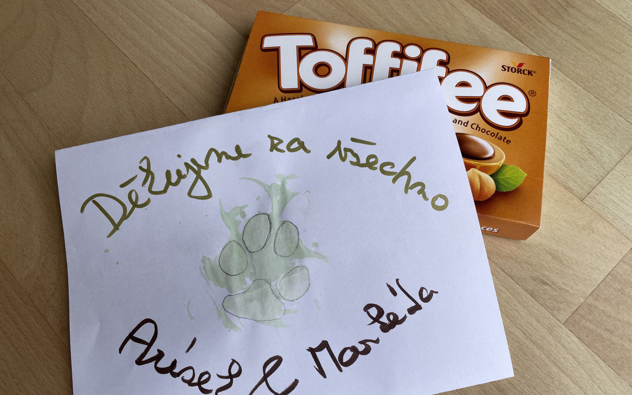 Pomohli jste Arískovi v boji s rakovinou
