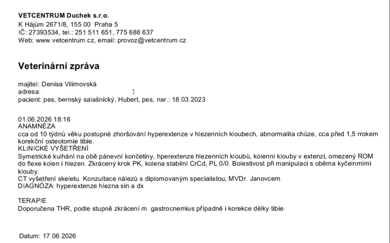 Pomohli jste Hubertovi chodit bez bolesti
