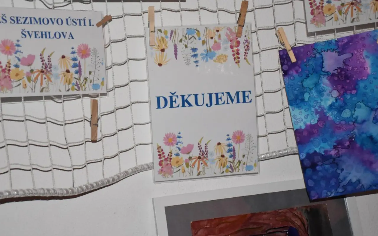 Pro Edíka z Tábora na intenzivní terapie a kompenzační pomůcky