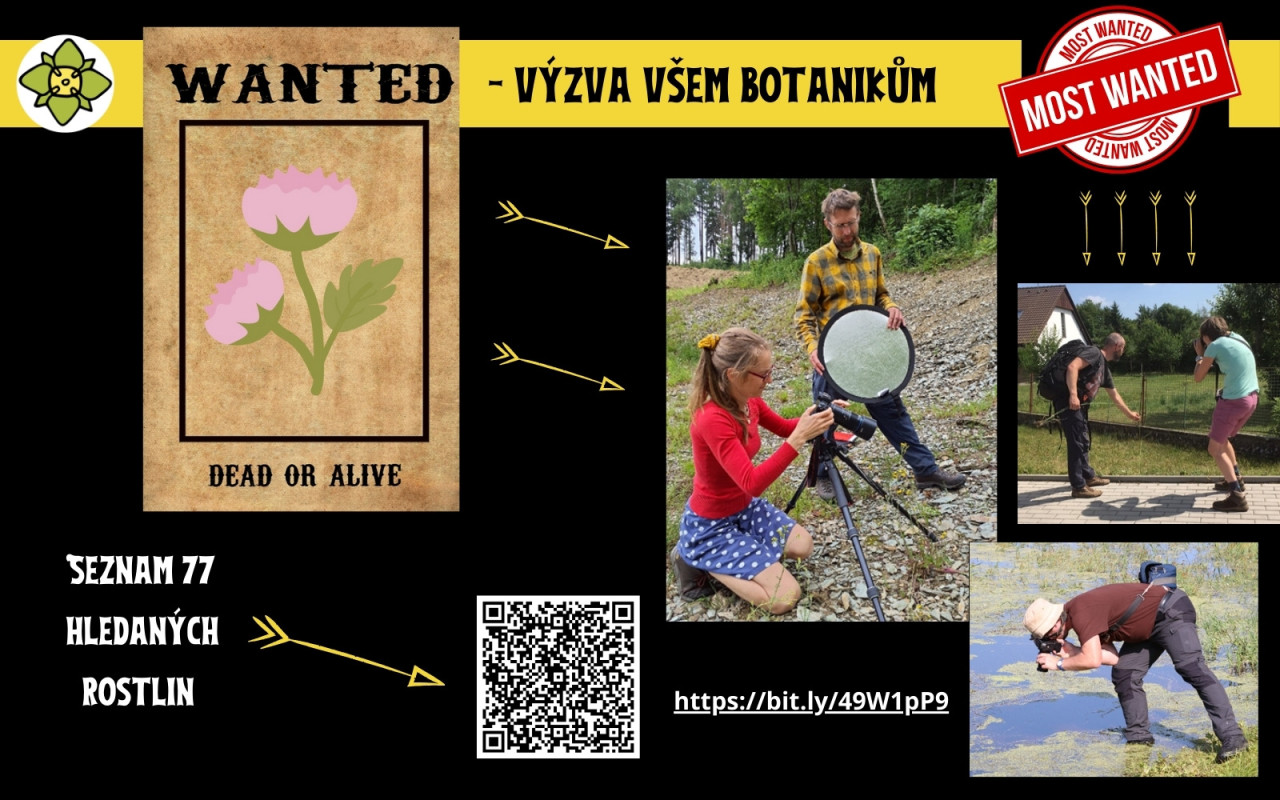 Fotografie všech českých rostlin v jedné KNIZE? Pojďme to dotáhnout!