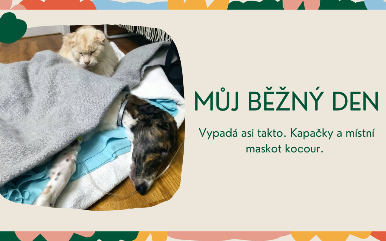Pomohli jste Brilliantovi k lepšímu životu
