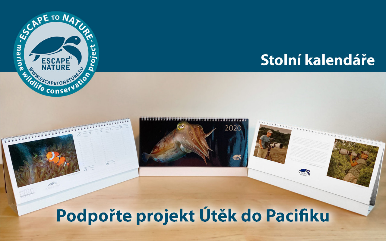 Útěk do Pacifiku - Papua Nová Guinea