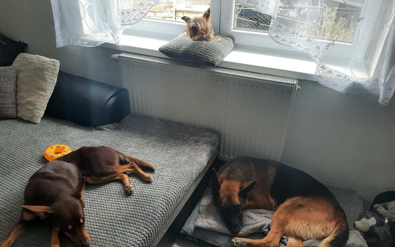 Pomohli jste Bessince na nohy