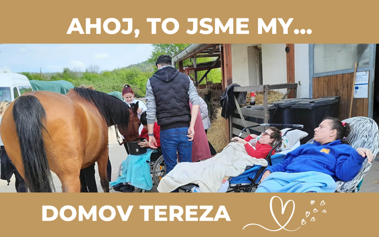 DOMOV TEREZA naše Vánoční Přání  - Hiporehabilitace Každý Týden!