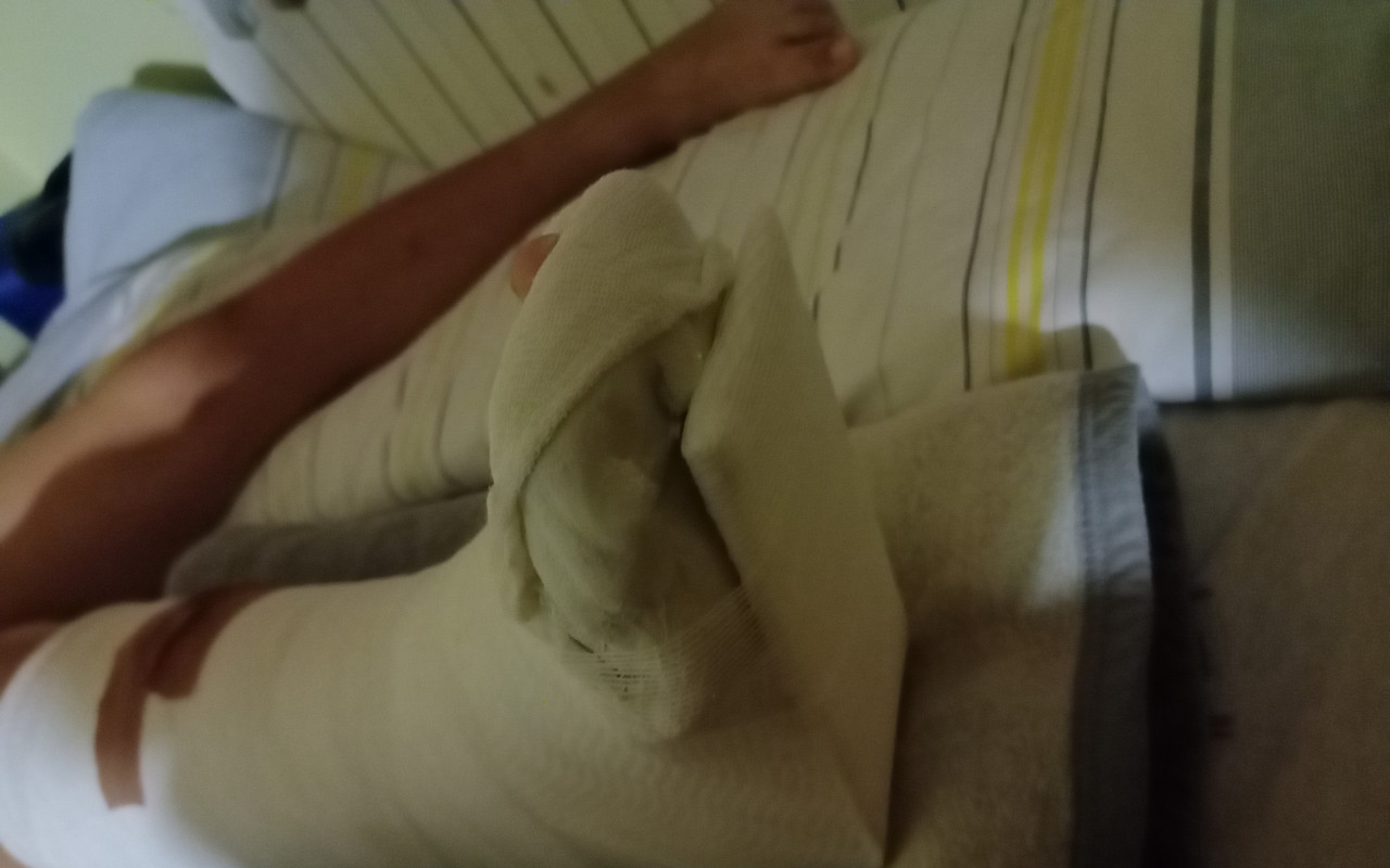 Velký sen o velkém autě, aneb pomoc pro nemocného Vincíka