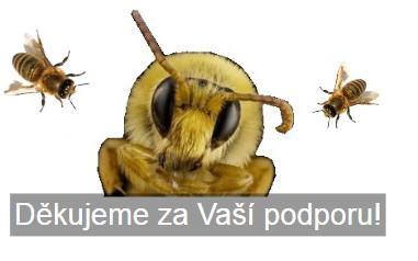 Včelí školka a ubytování 🐝💨