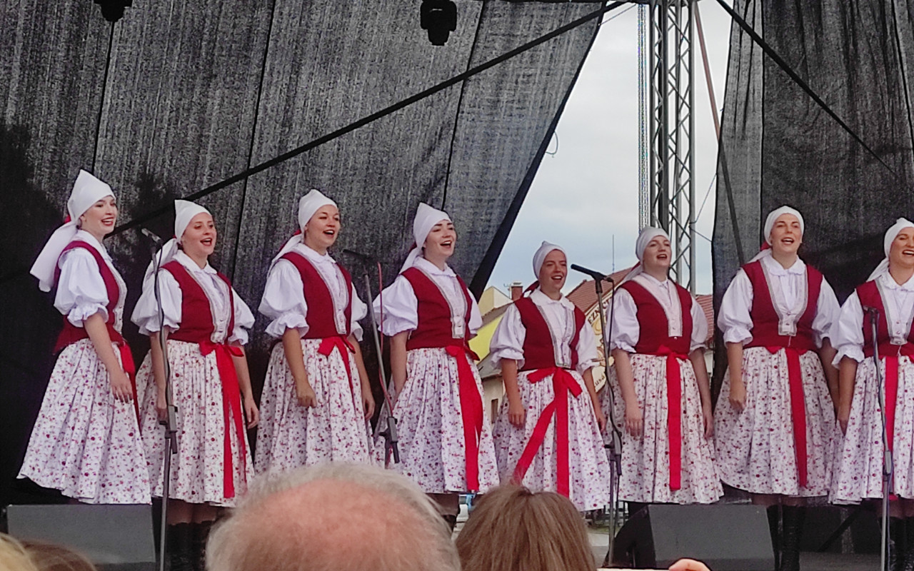 Pomoc při vydání knížky #tožtakII aneb, Střípky ze Slovácka