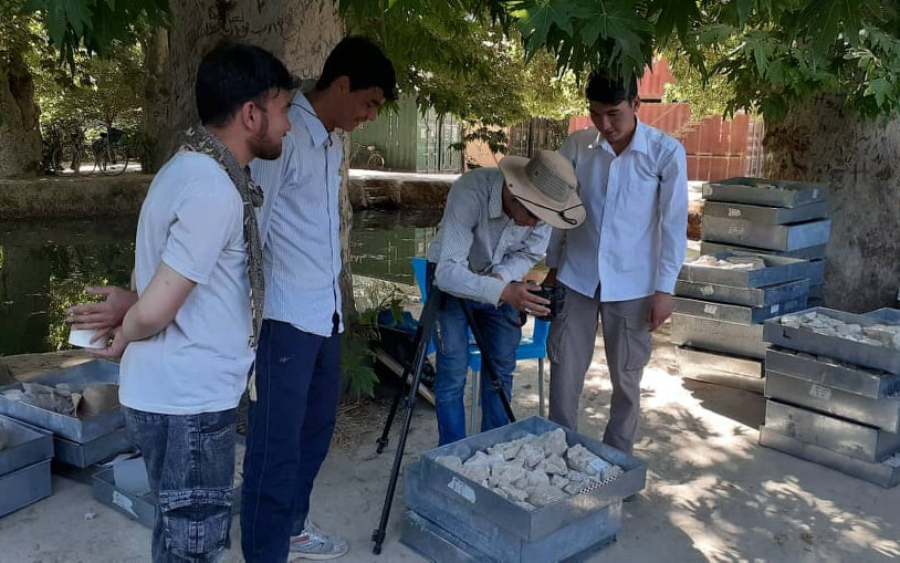 Help an Afghan archaeologist