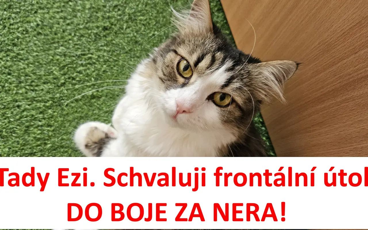 Pomohli jste Nerovi v boji s nádorem