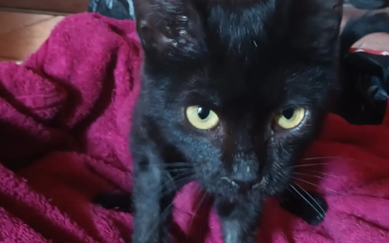 Mia bojuje o návrat do života po srážce s autem