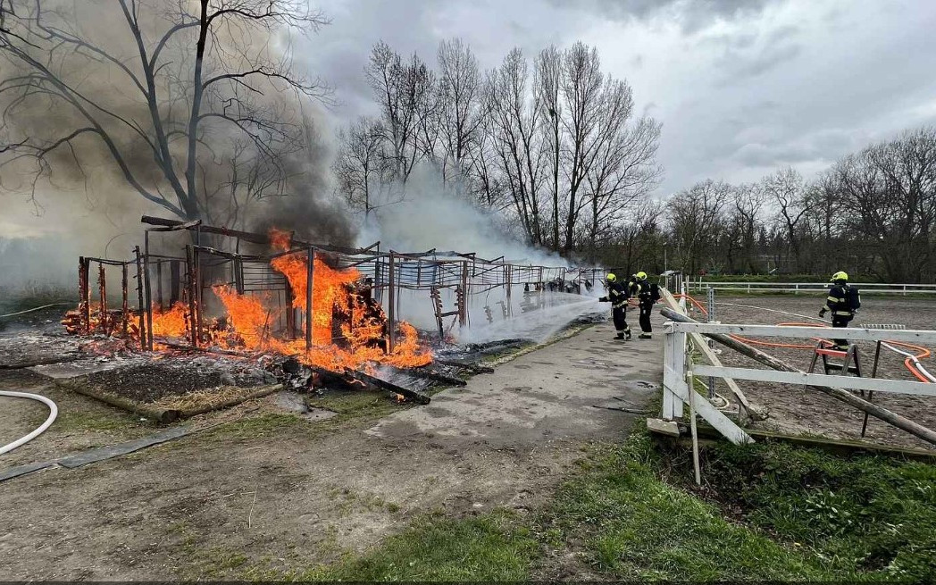 Obnova jezdecké školy po požáru