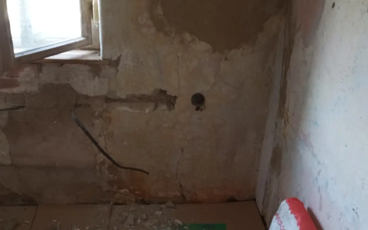 Pomohli jste Veronice a Dominikovi znovu plnohodnotně žít