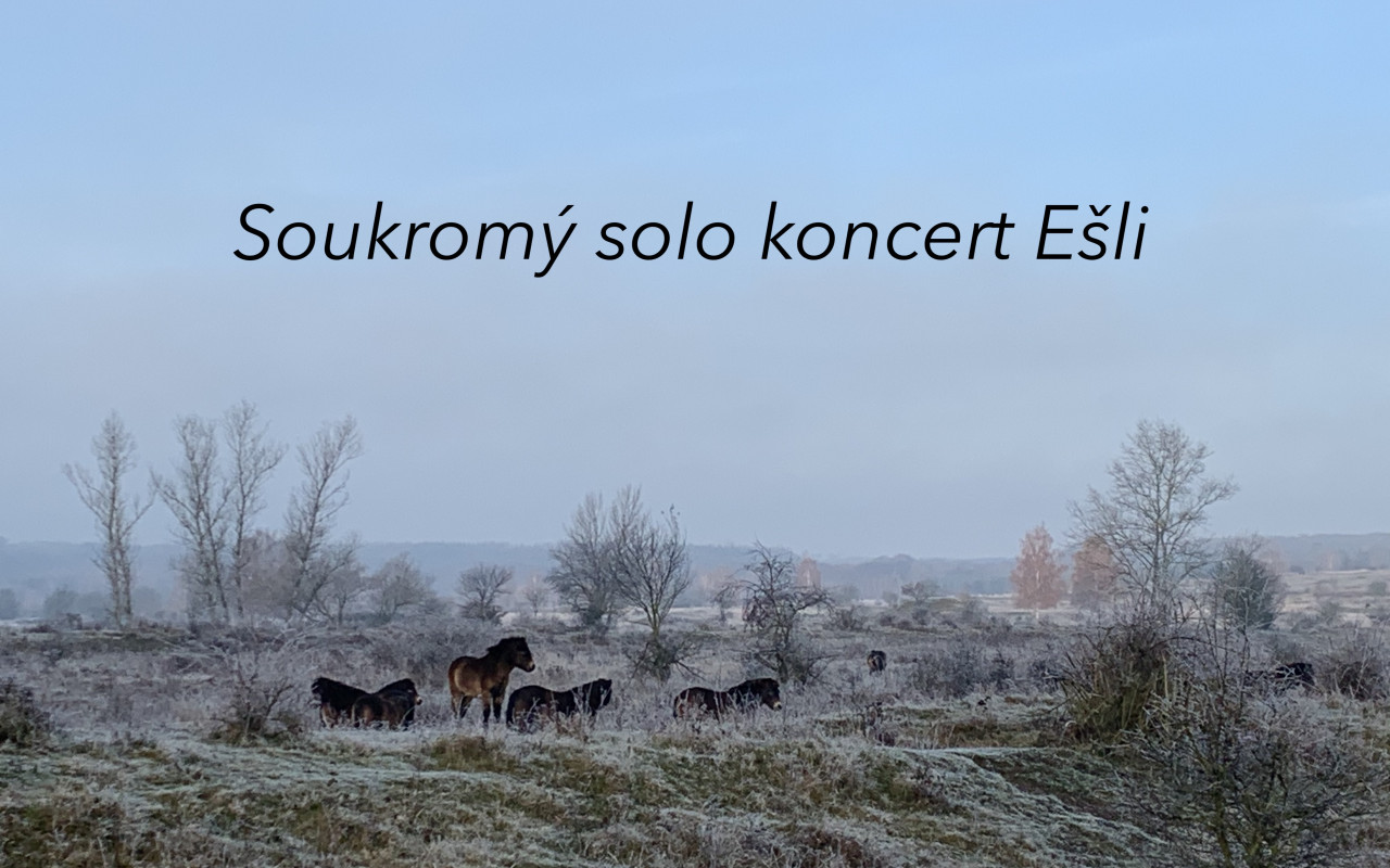 Podpořte první videoklip, “pražské Američanky ze Slovenska”, zpěvačky Ešli!