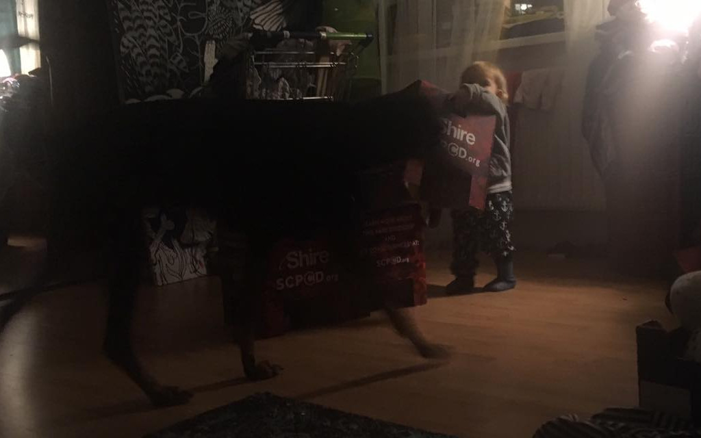 Pomohli jste Bowiemu