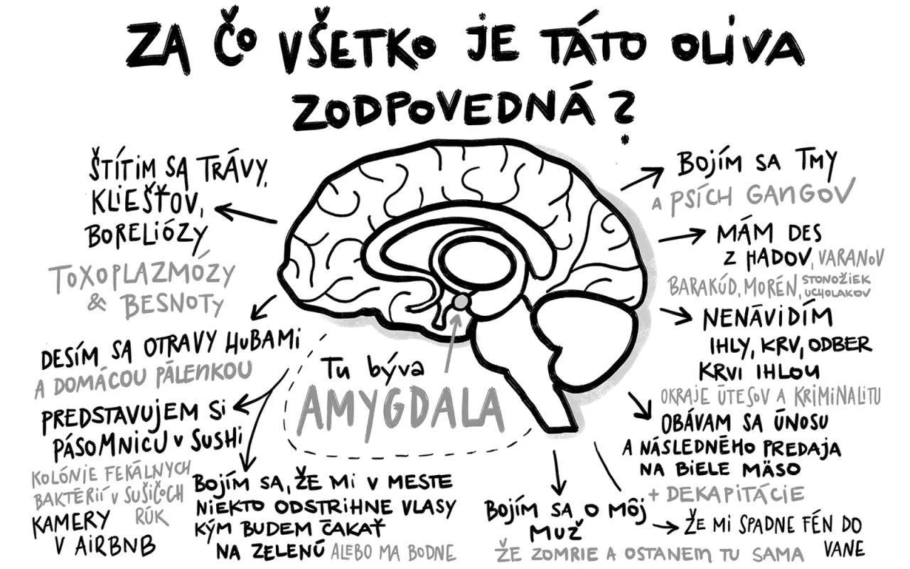 Pomozte nám vydat knihu "Vzal sis Slovenku".