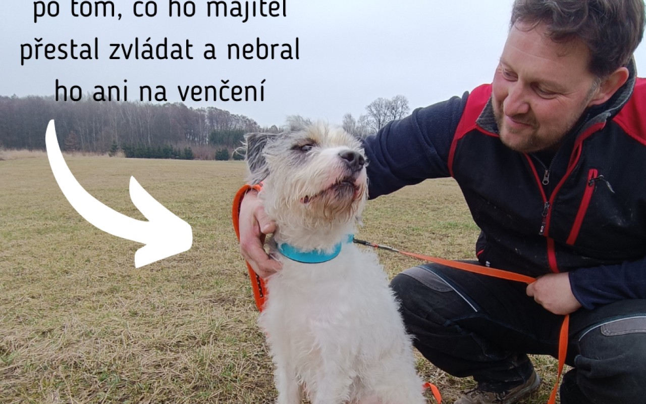 Pomohli jste pejskům a kočičkám v útulku Lanškroun