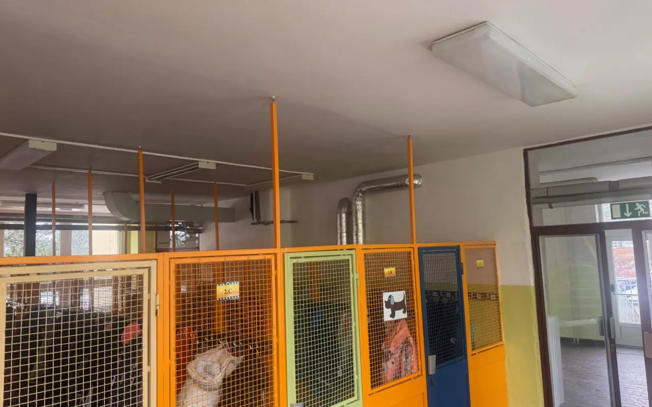 Šatny jsou prvním i posledním místem školního dne – pojďme je udělat příjemné