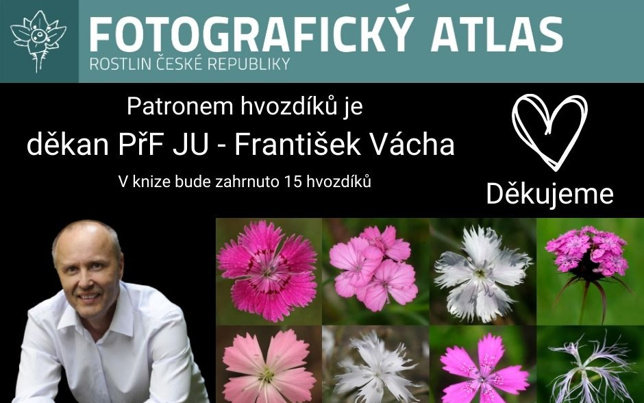 Fotografie všech českých rostlin v jedné KNIZE? Pojďme to dotáhnout!