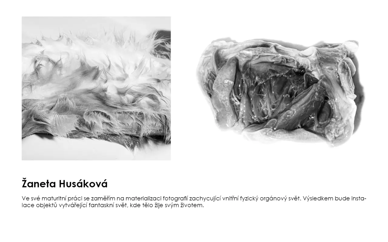 Podpořili jste výstavu maturitních projektů Fotografie4