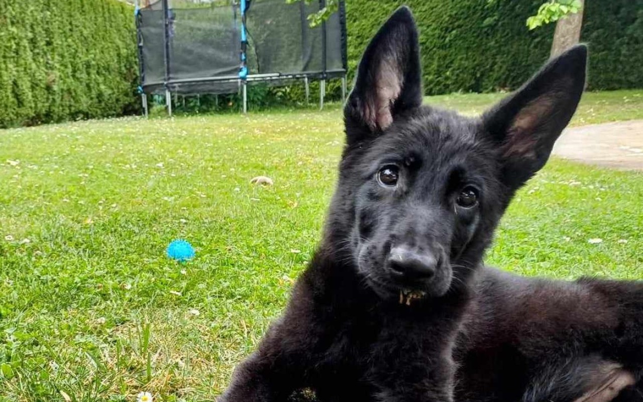 Složili jste se Pupíkovi na terapii kmenových buněk