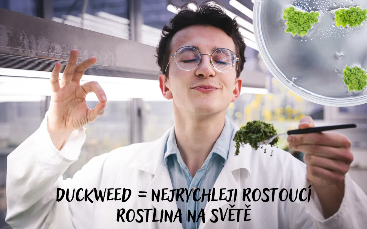 Podpořili jste studenty na finále nejprestižnější biotech soutěže na světě