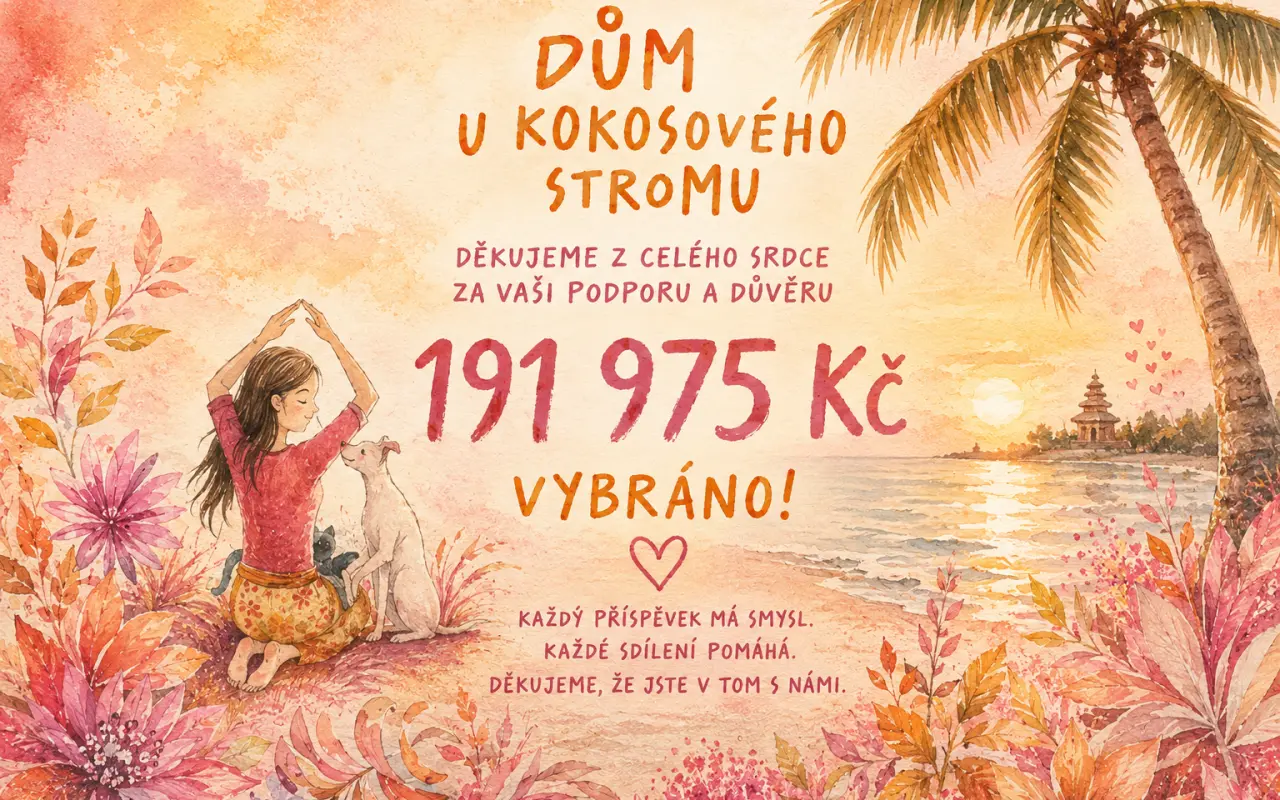 Pomozte vydat knihu Dům u kokosového stromu a dát psům na Bali šanci