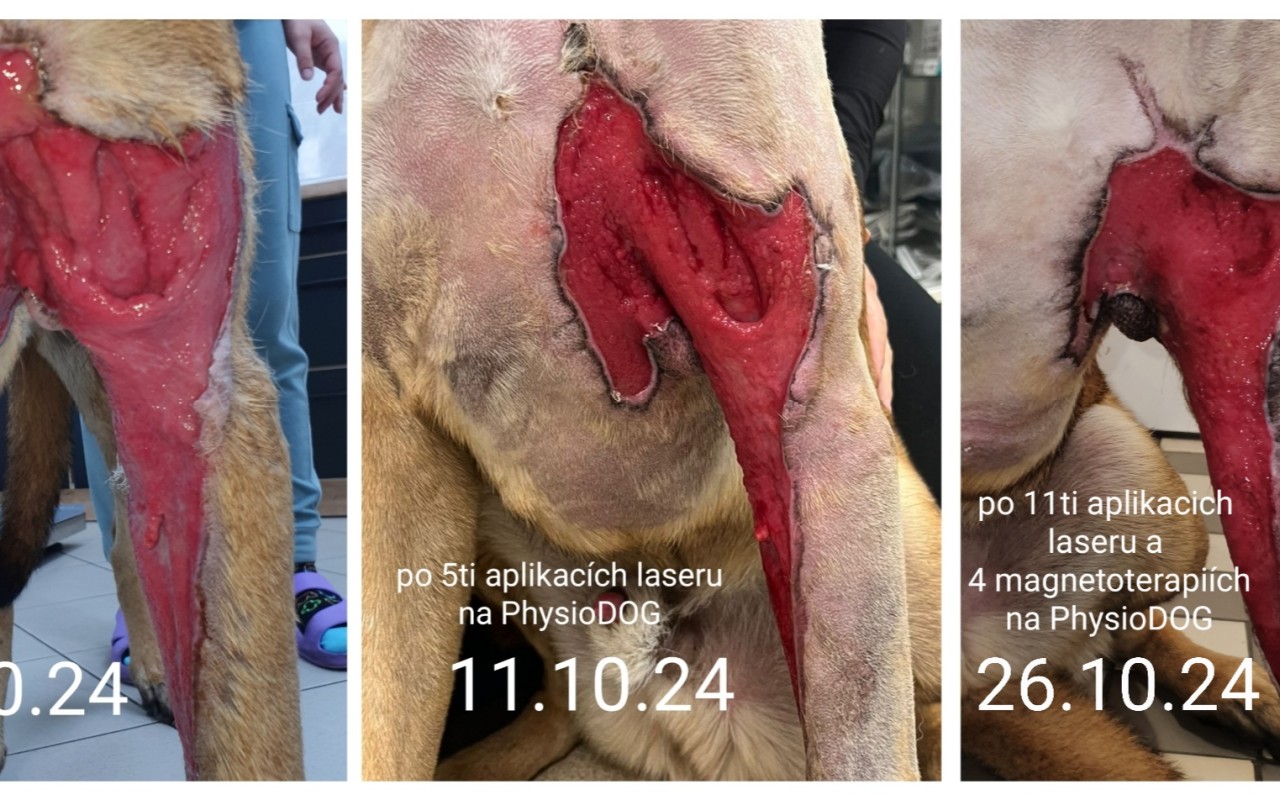 Pomohli jste Garmrovi v boji s těžkou infekcí