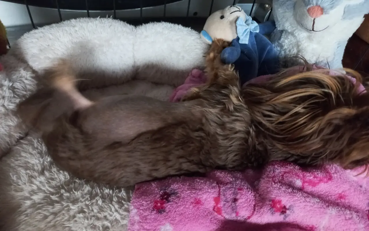 Pomohli jste Bertíkovi bojovníkovi k operaci a šanci na normální život