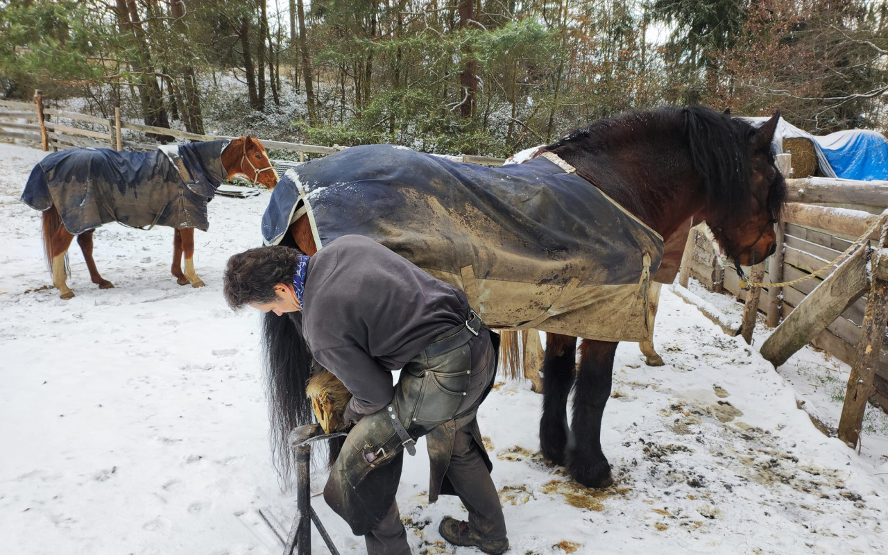 Klidné stáří bez bolesti pro Huryta
