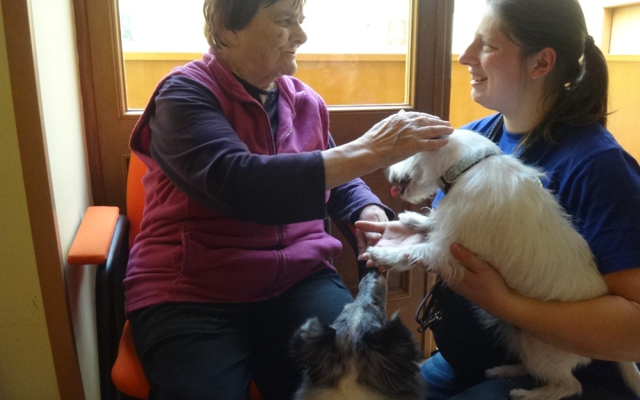 Canisterapie CANTES v krajích ČR jako sociální rehabilitace