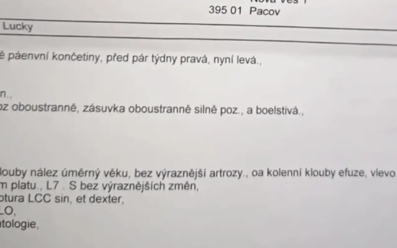 Pohyb pro Lucky