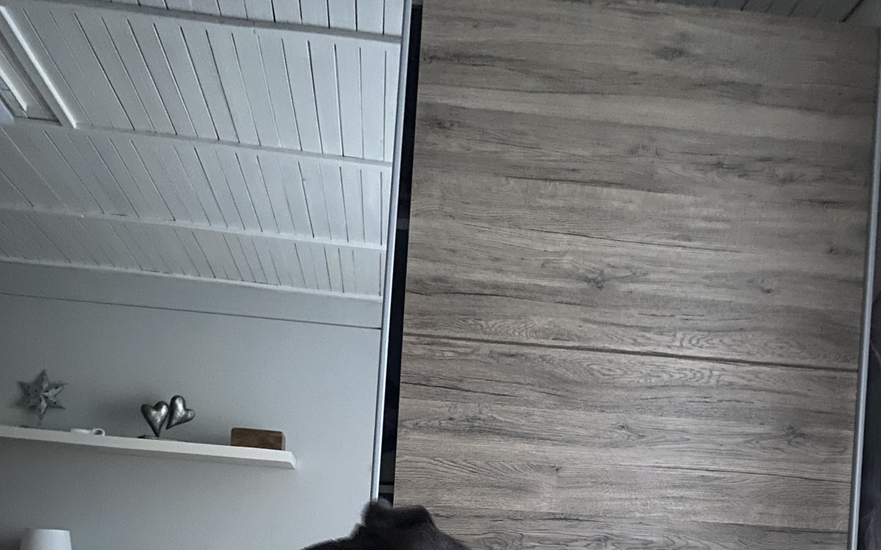 Pomohli jste nalezené E.T. opět běhat