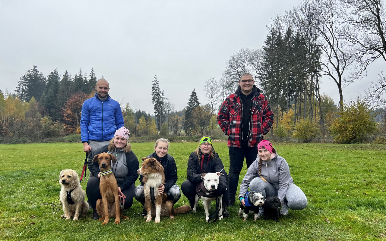 Bezpečná cesta autem pro pejsky z Doggoland z.s.