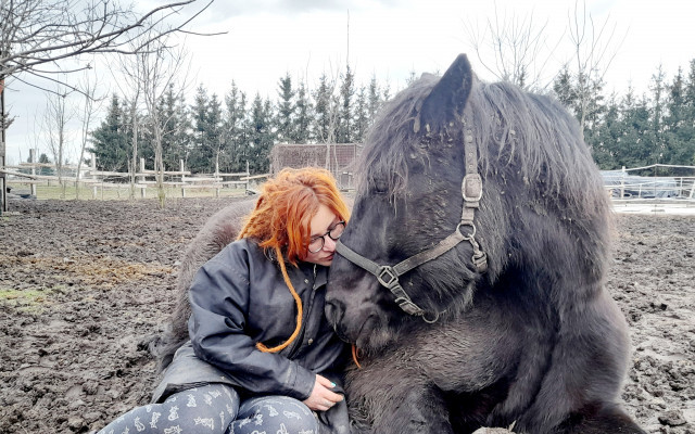 Složili jste se na seno pro zachráněná zvířata v azylu Pastvina