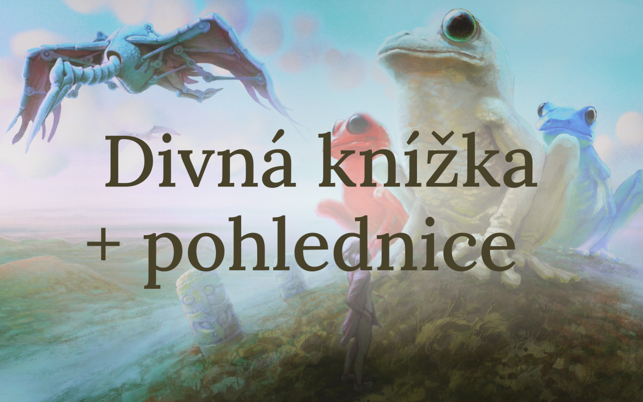 Vydáváme Divnou knížku