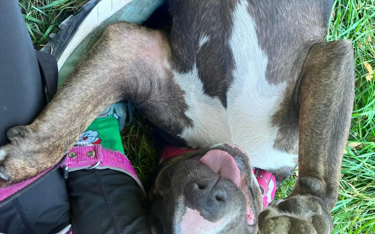 Pomohli jste Vendulce k uzdravení