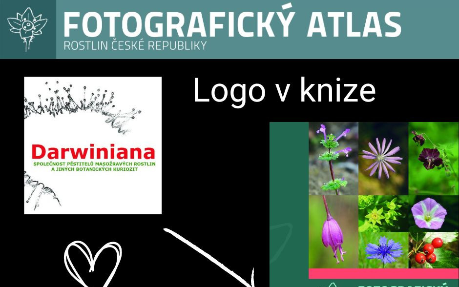 Fotografie všech českých rostlin v jedné KNIZE? Pojďme to dotáhnout!