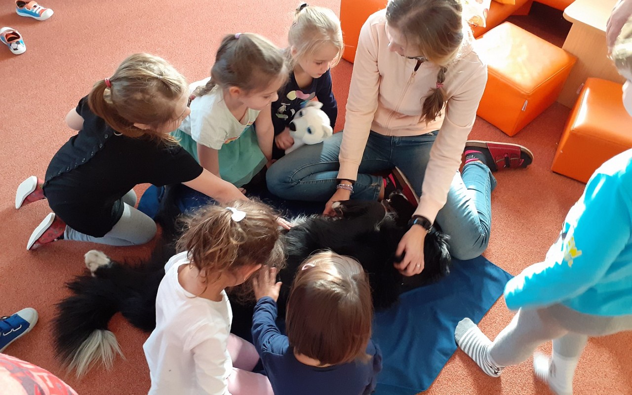 Canisterapie CANTES v krajích ČR jako sociální rehabilitace