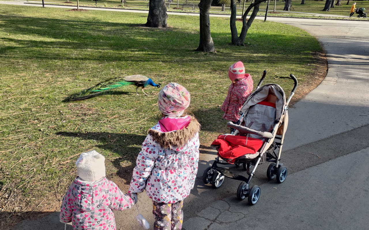 Pro Barušku naší bojovnici na velké auto a rehabilitace