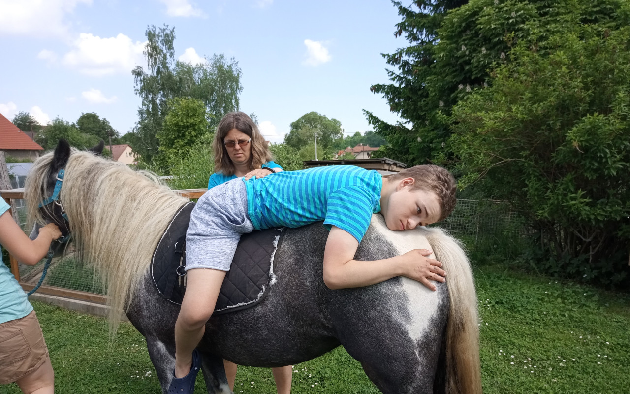 Auto plné zvířecí lásky a radosti