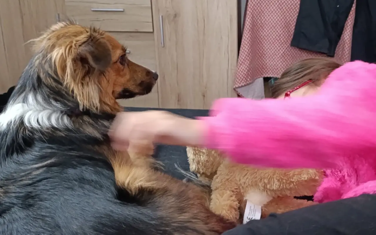 Pomohli jste Sourince uzdravit se a znovu pomáhat dětem